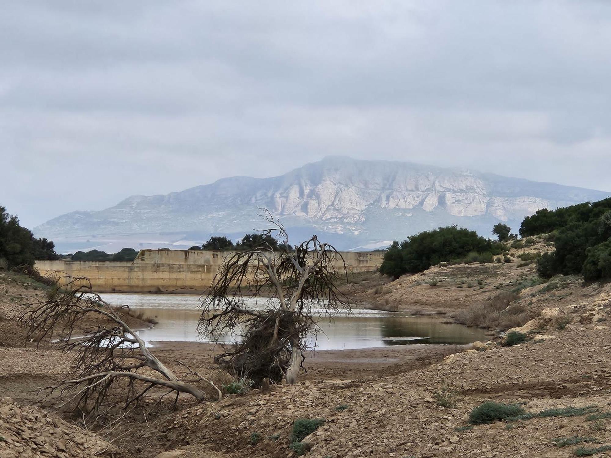 Finca Las Botas Almansa Bagian luar foto